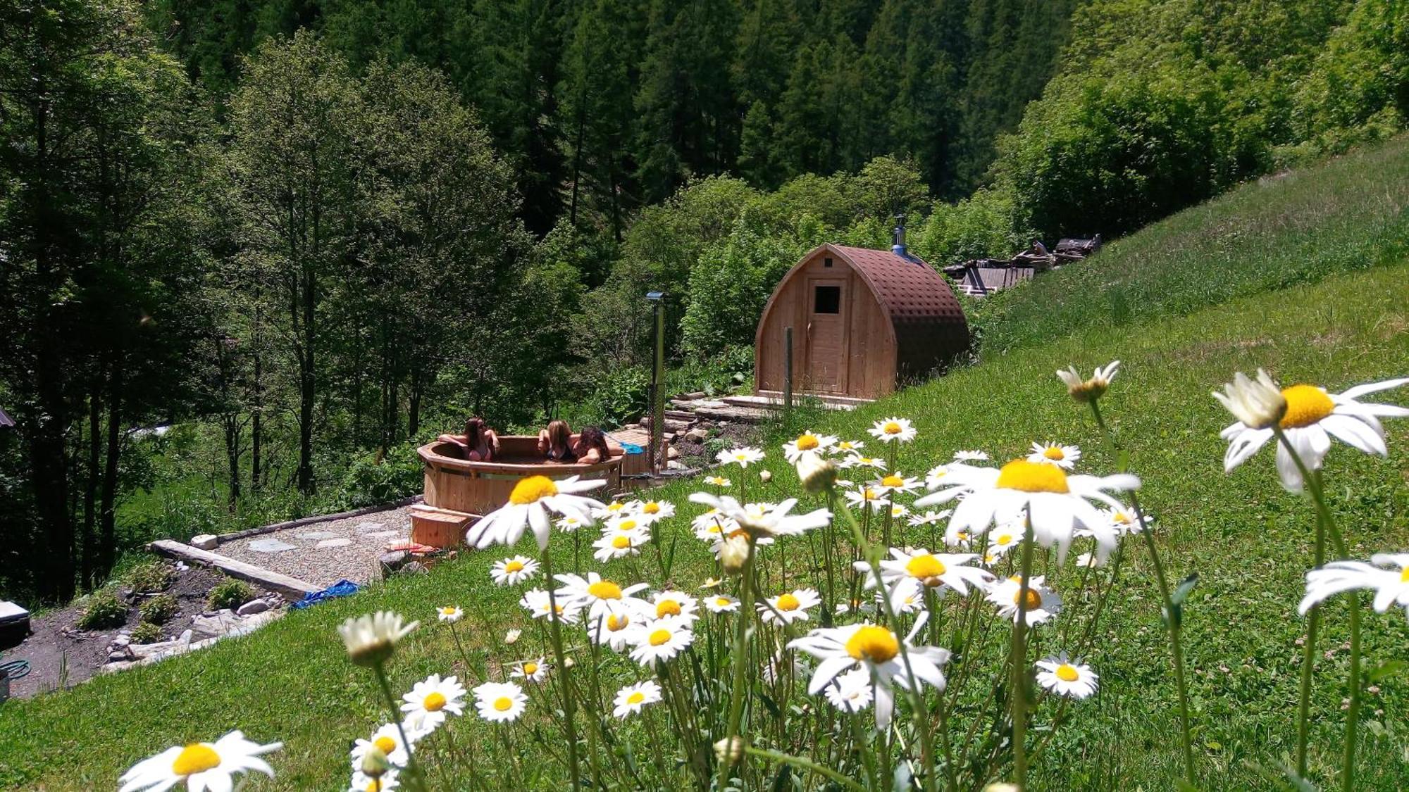 Nuit A Pleiney Bed & Breakfast Saint-Rhemy-En-Bosses Dış mekan fotoğraf